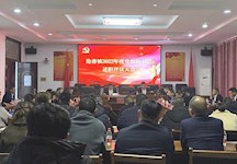 沧港镇：召开2022年度基层党组织书记抓基层党建述职评议会