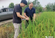 罐头嘴镇：“导师帮带”助力年轻干部“壮苗出穗”