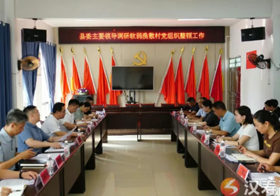 周功表到太子庙镇太安村调研软弱涣散村党组织整顿工作
